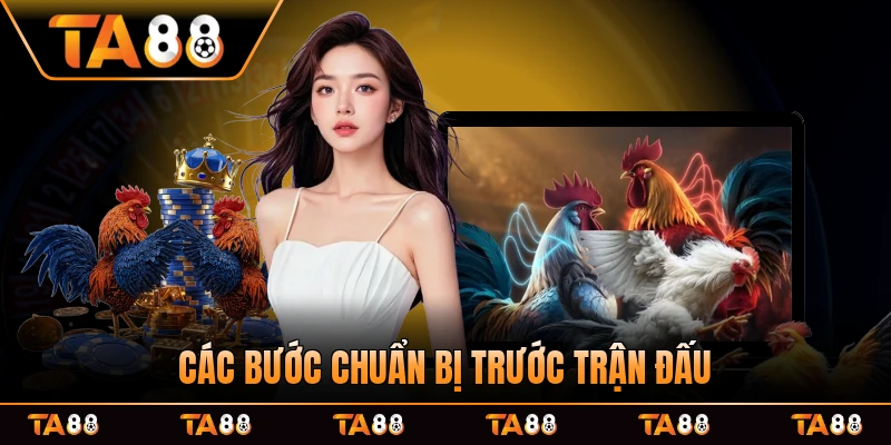 Các bước chuẩn bị trước trận đấu ra mắt các chiến kê tranh hùng sàn