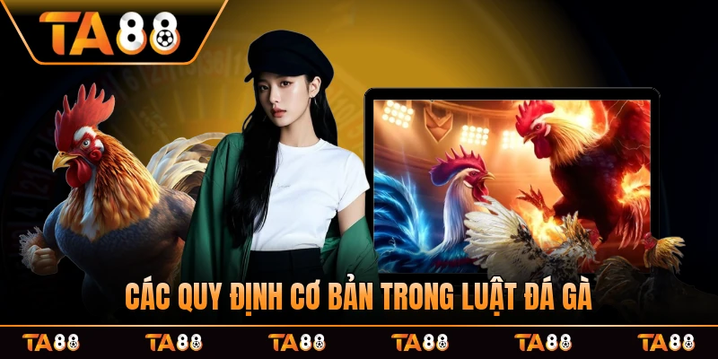 Các quy định cơ bản trong luật đá gà ở sàn chiến kê máu chiến nhất