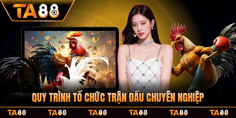 Quy trình tổ chức trận đấu chuyên nghiệp khi giải bắt đầu và cược sàn