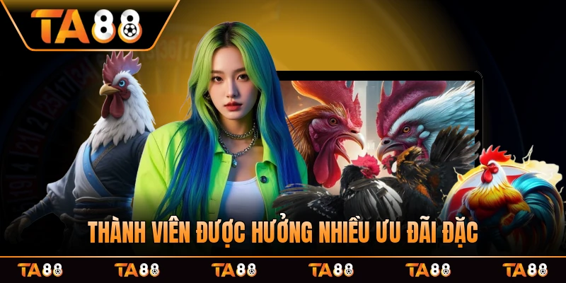 Thành viên được hưởng nhiều ưu đãi đặc biệt khi gia nhập và chọn đúng