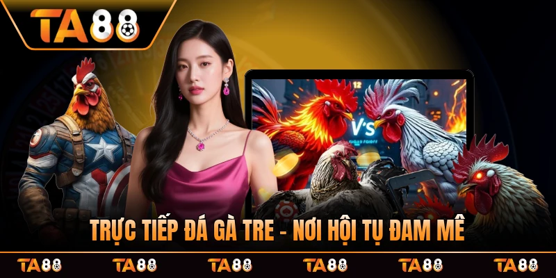 Trực Tiếp Đá Gà Tre - Nơi Hội Tụ Đam Mê Máu Chiến Mọi Miền